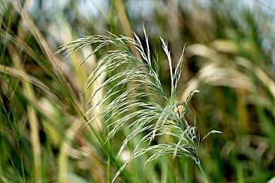 知名YouTuber游戏驴子创立 独立游戏发行公司Bigmode